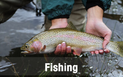 Fishing