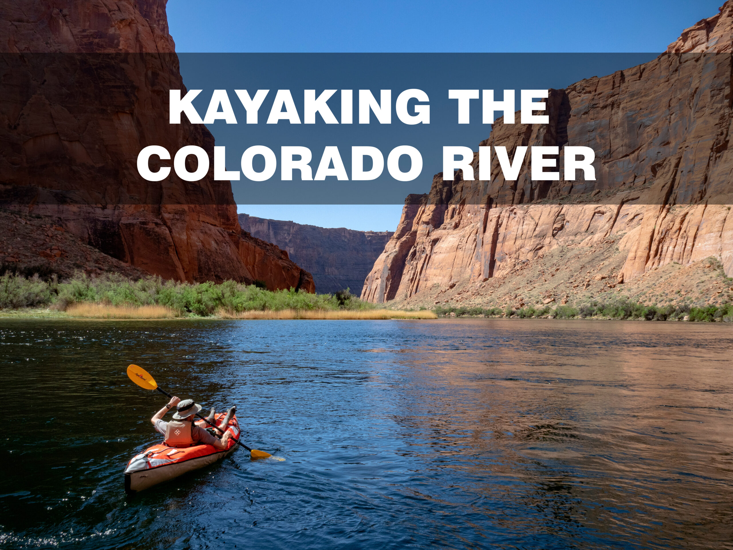 Interest rates skyrocking blog Interest rates skyrocking blog