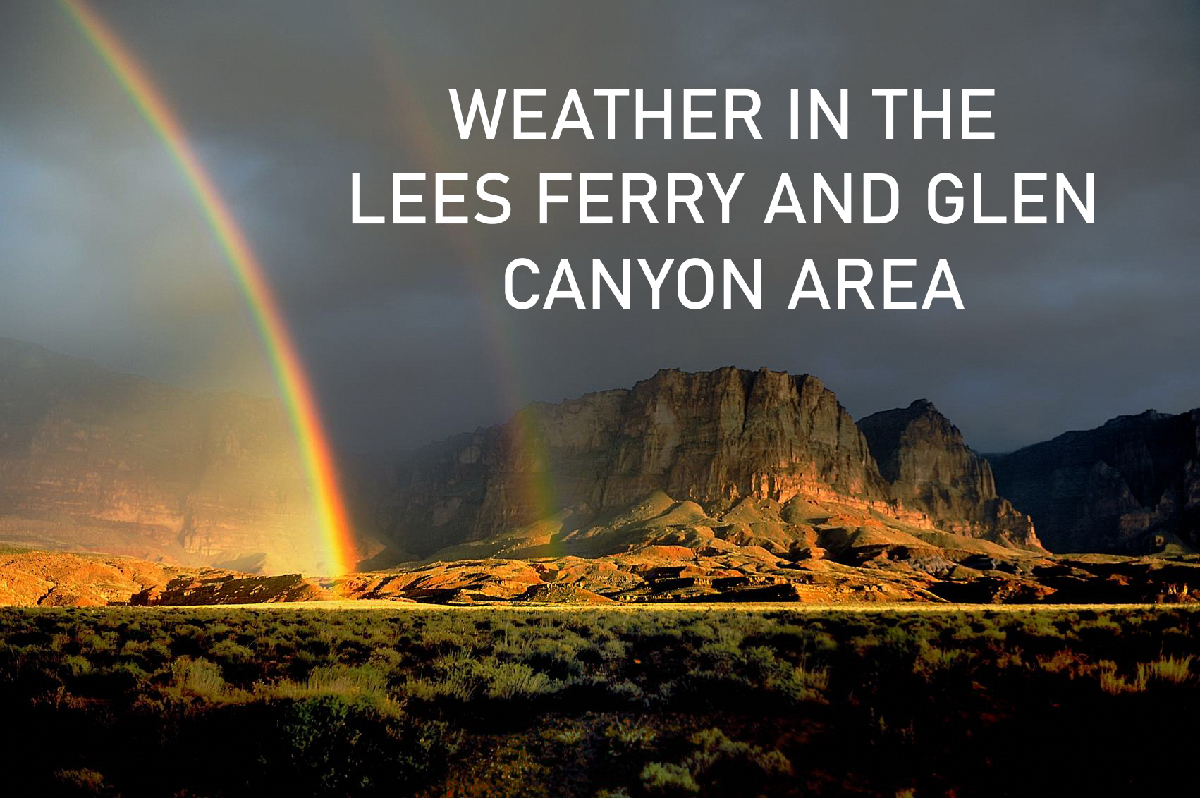 Interest rates skyrocking blog