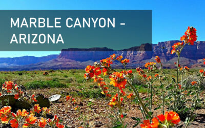 Marble Canyon – Arizona