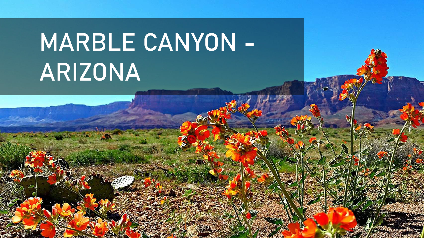 Interest rates skyrocking blog